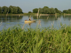 paddeln auf der elbe